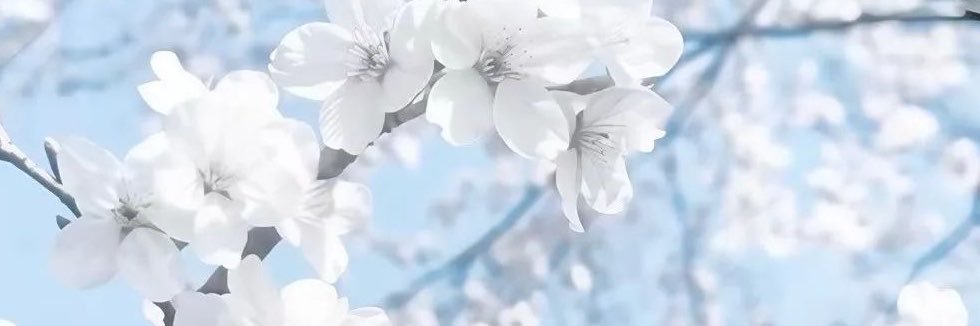 ddumbaapples's profile banner image