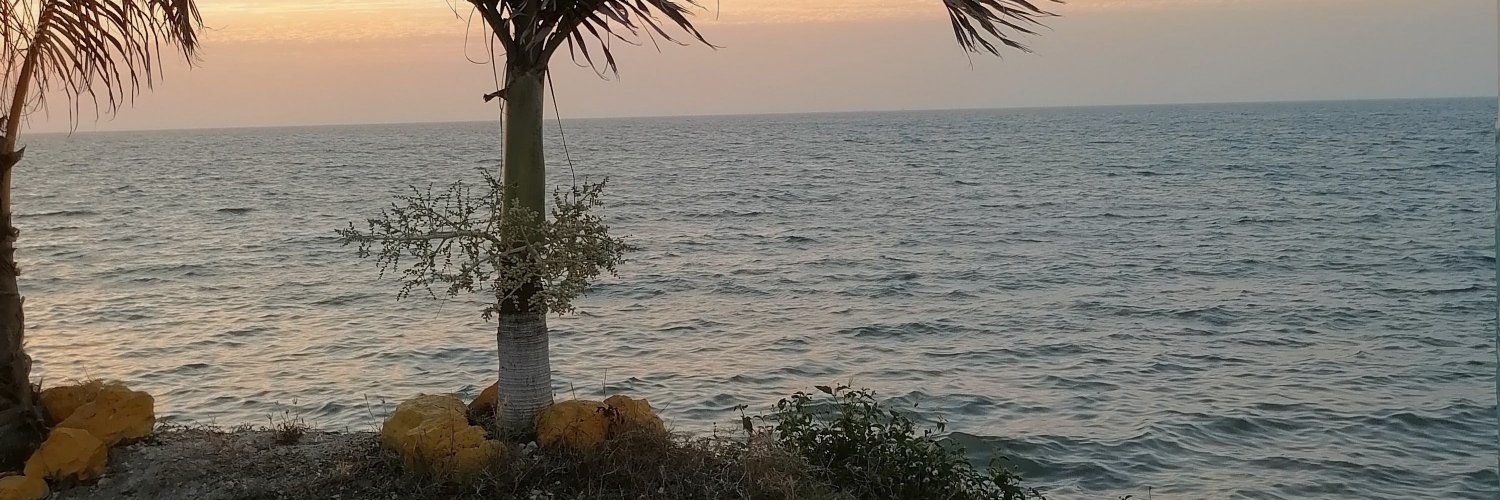MichaelFVC's profile banner image