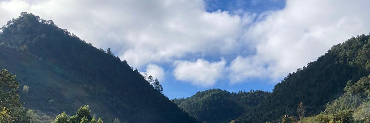 linperez_'s profile banner image