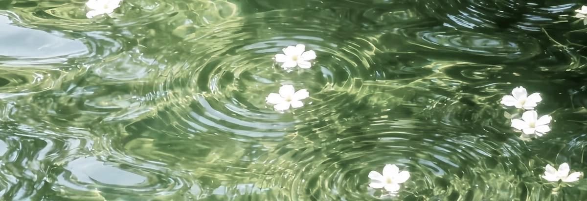 goddessflowerj's profile banner image