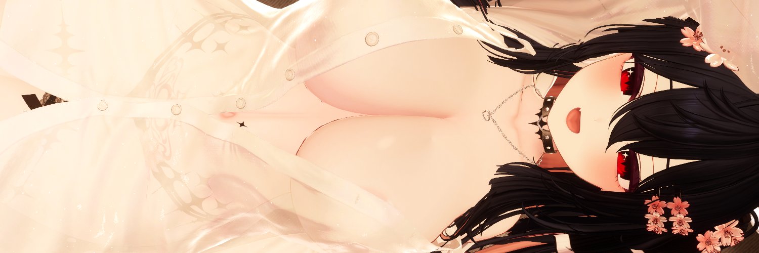 PaLL_VRC's profile banner image