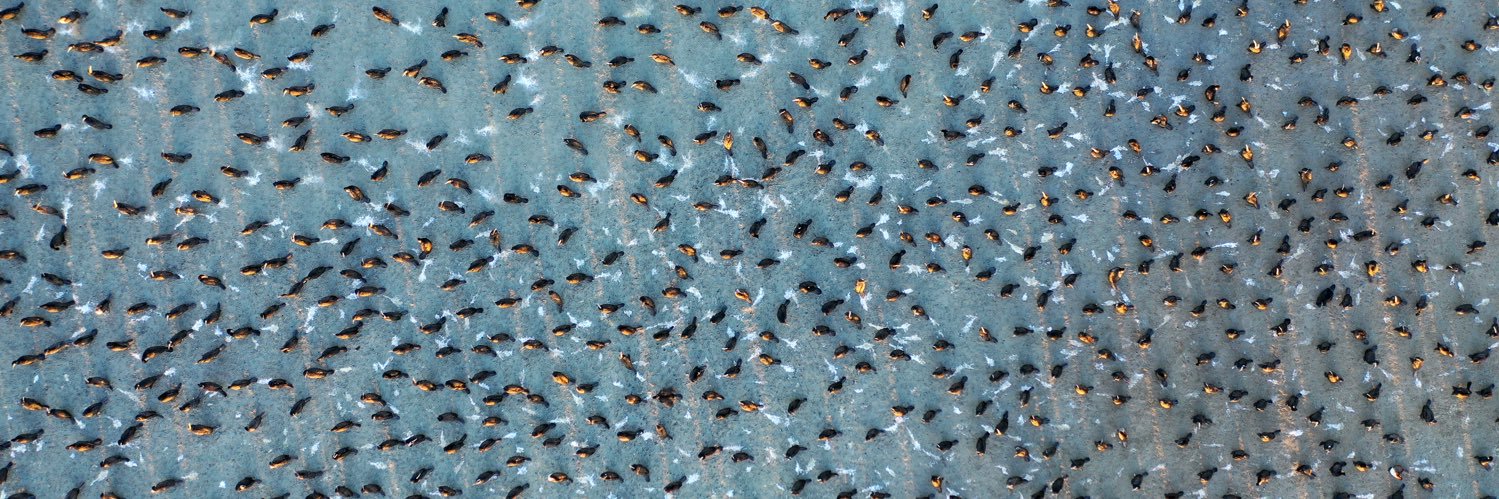 عبدالمحسن السريع banner