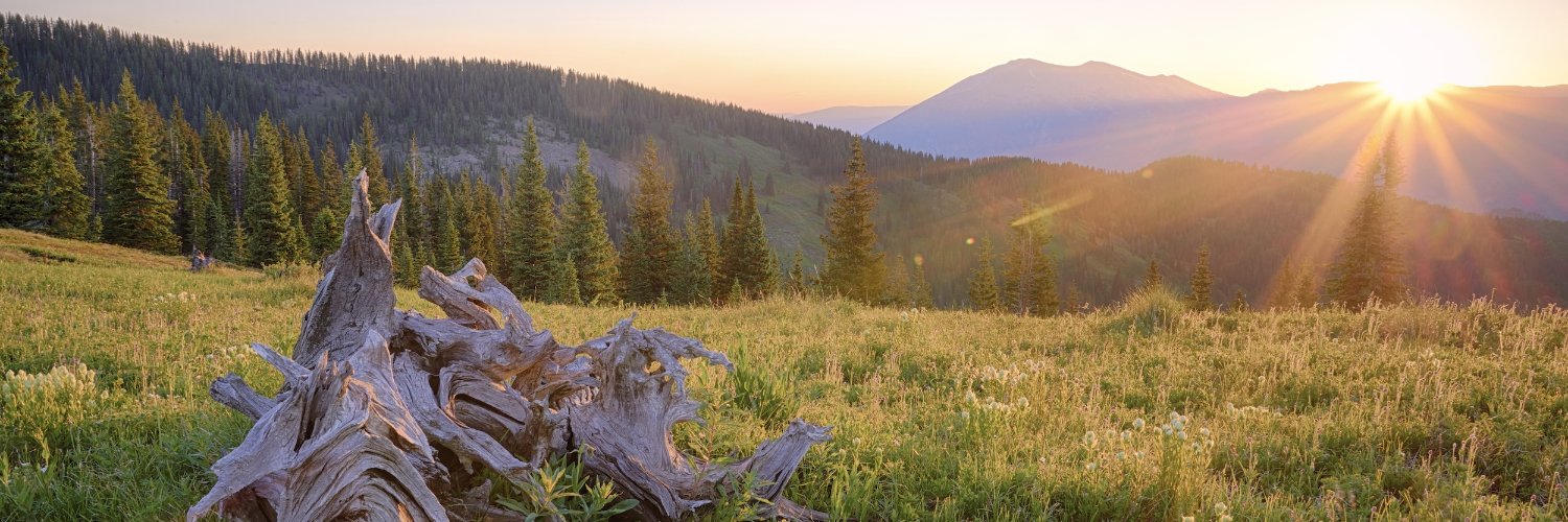 USDA Forest Service's banner