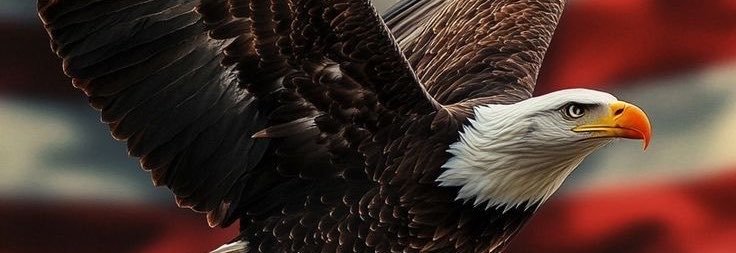 CathyTroywc's profile banner image