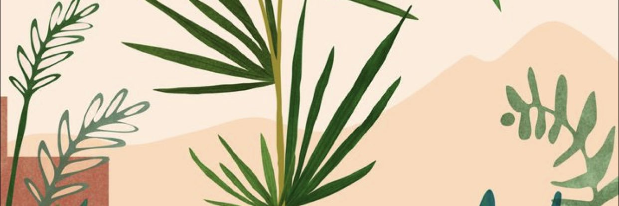 laurynphoebe's profile banner image