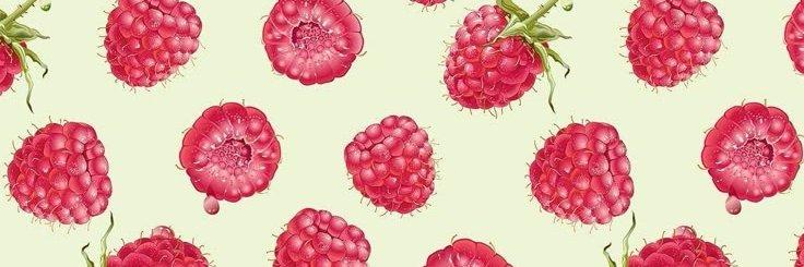 maisydeez's profile banner image