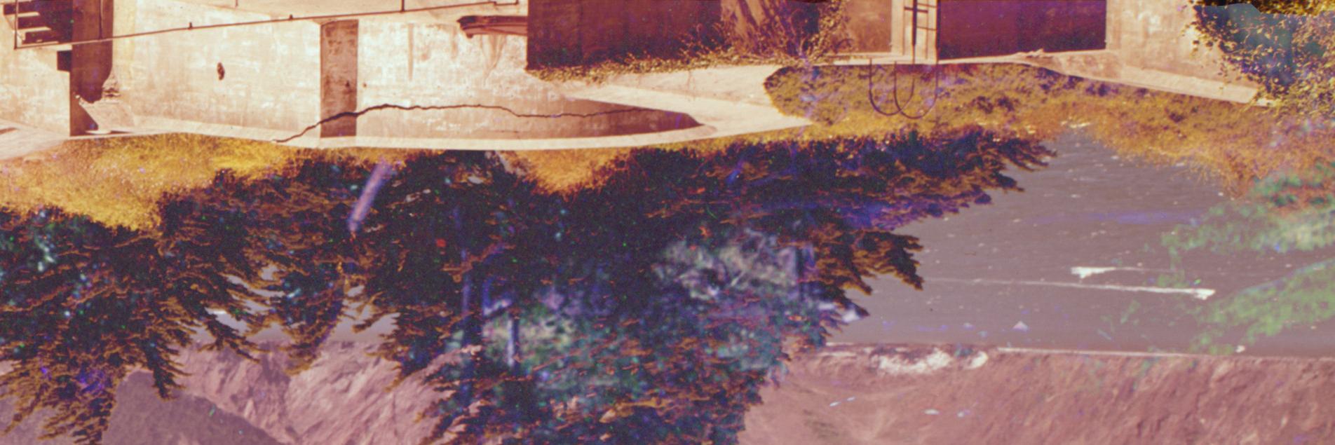 Buffalo Rodeo banner