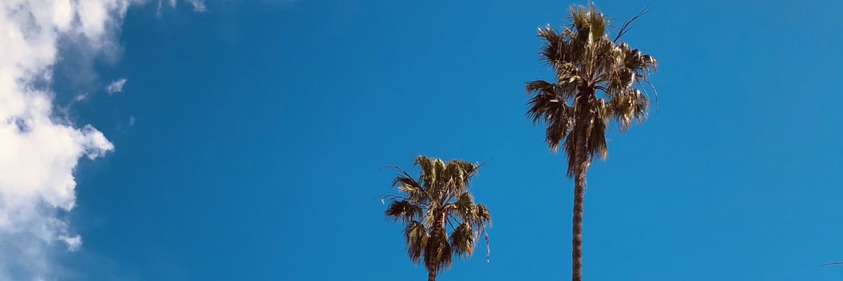 stephmignon's profile banner image