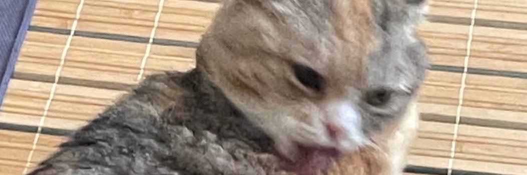 psnjij's profile banner image