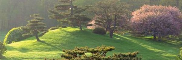 Marcbouvet's profile banner image
