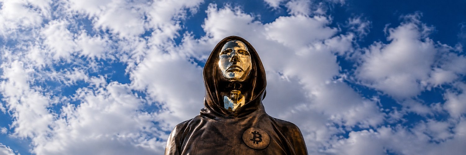 Satoshi_Trades's profile banner image