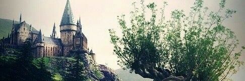 danuu1403's profile banner image
