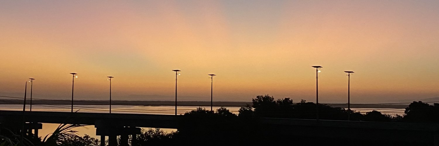 anpicora1229's profile banner image