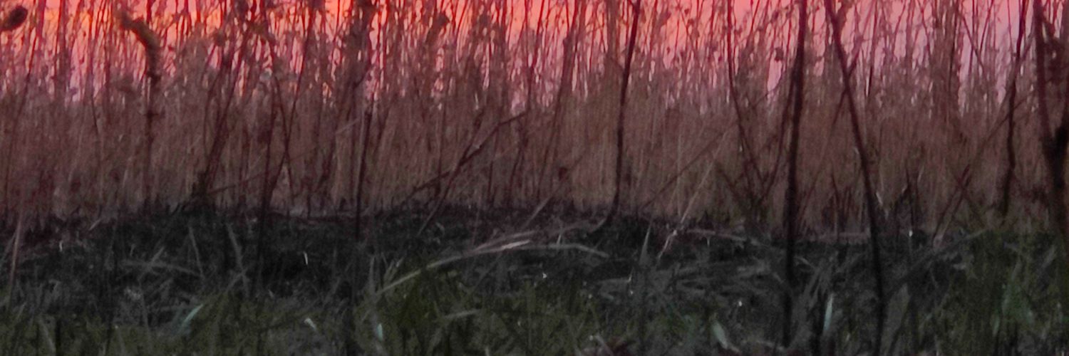 MarkOreally's profile banner image