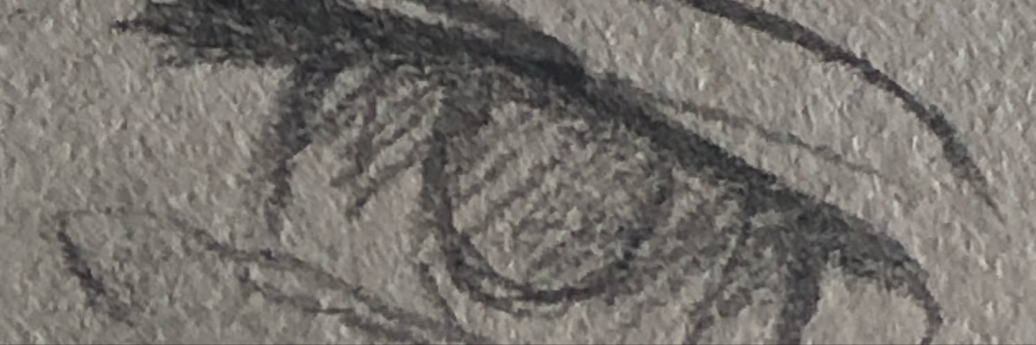 Jesonsim's profile banner image
