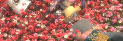 Sarrrin_V's profile banner image