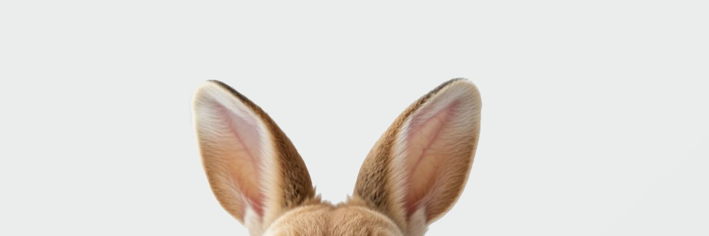 vwmpiro's profile banner image