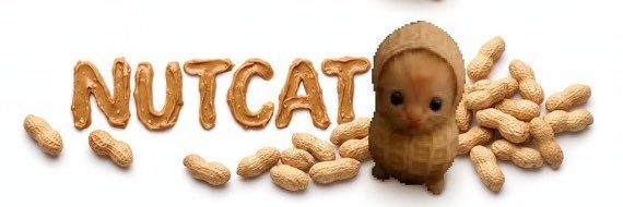 TheNutcat's profile banner image
