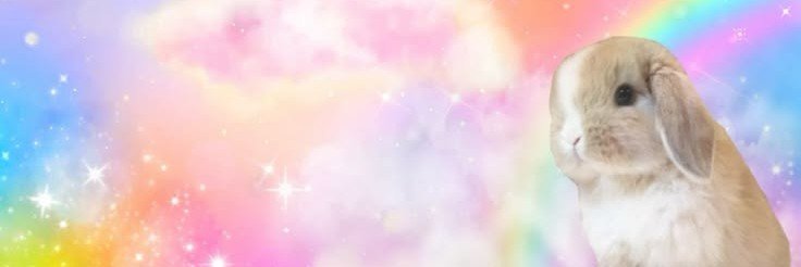 meow1xr's profile banner image