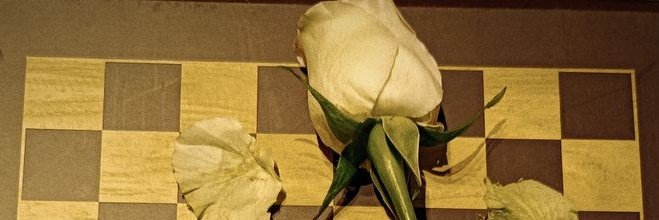 ivanmontngro's profile banner image