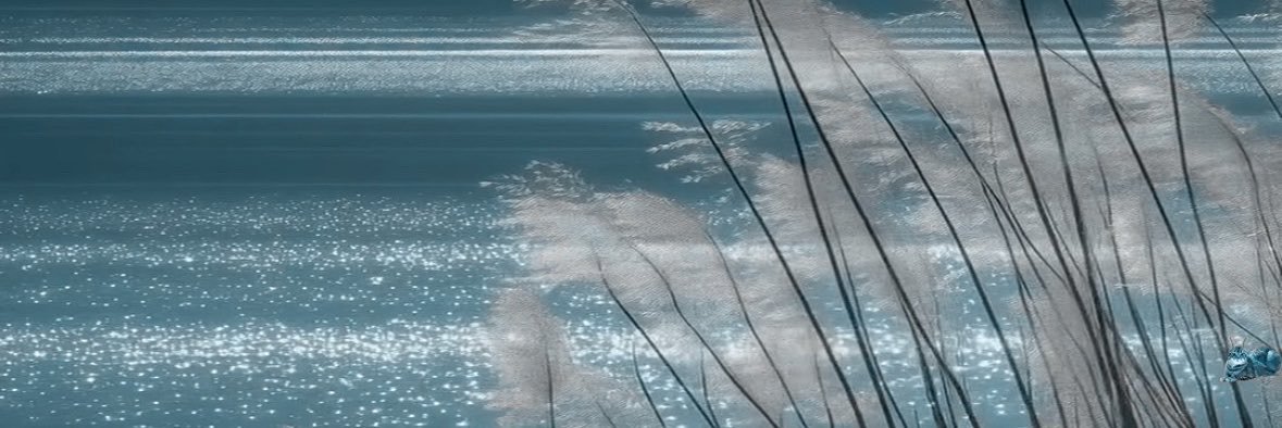 strangechercola's profile banner image