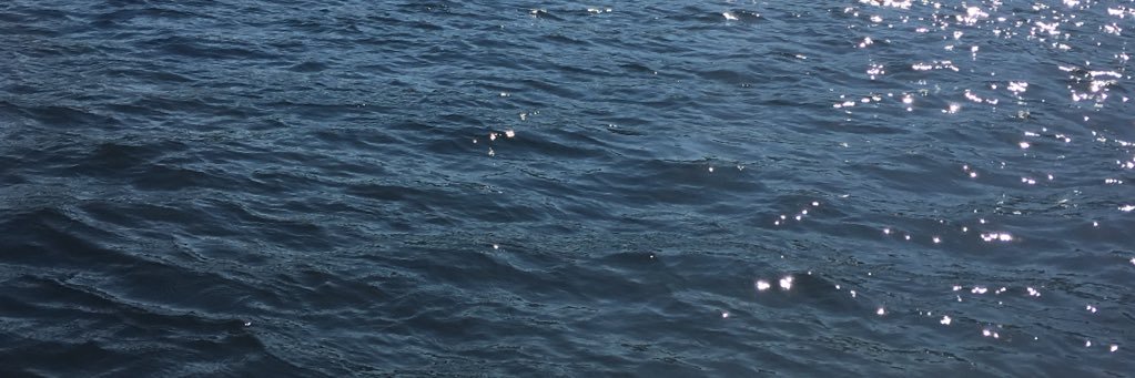 Kristin Robinson banner
