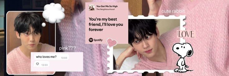 aylaipyu's profile banner image