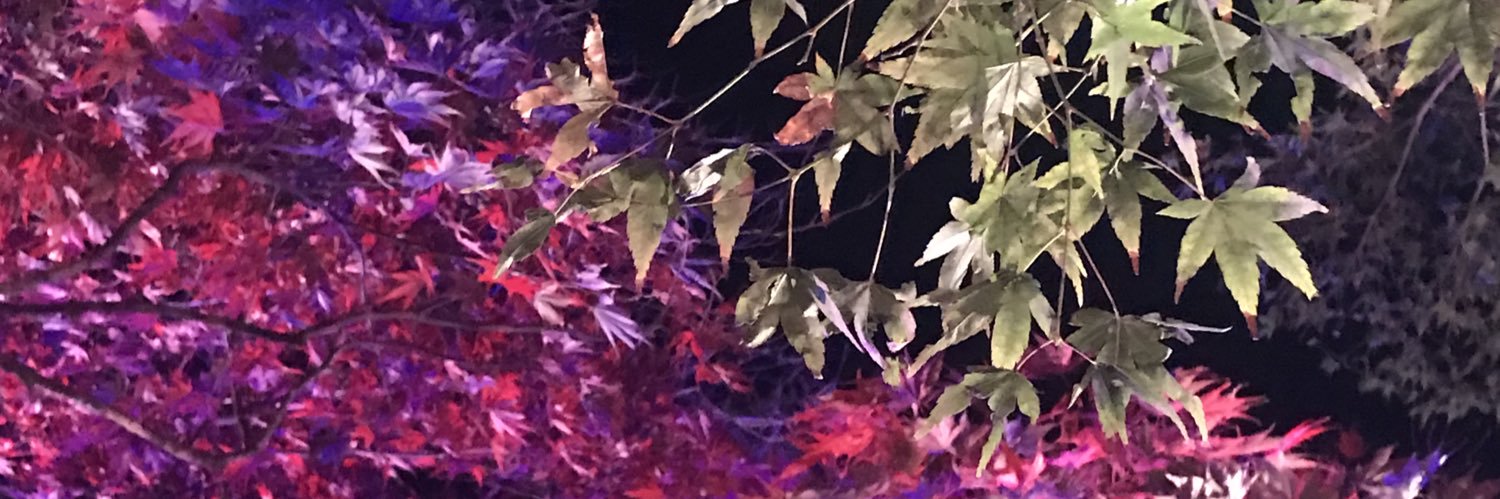 berylryl's profile banner image