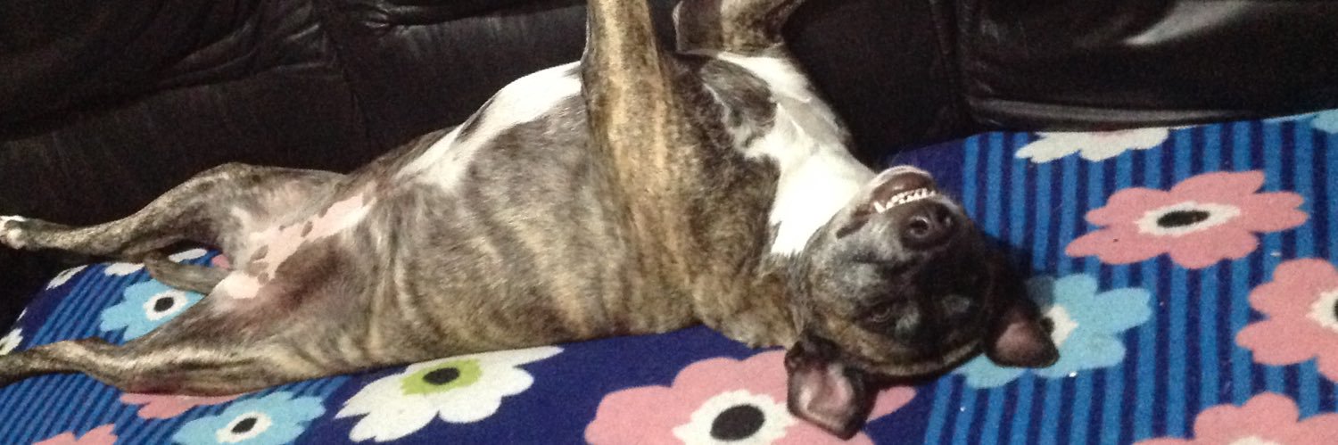 CHaKy🇦🇷🇦🇷🇦🇷🇦🇷🇦🇷🇦🇷🇦🇷🇦🇷🇦🇷 banner