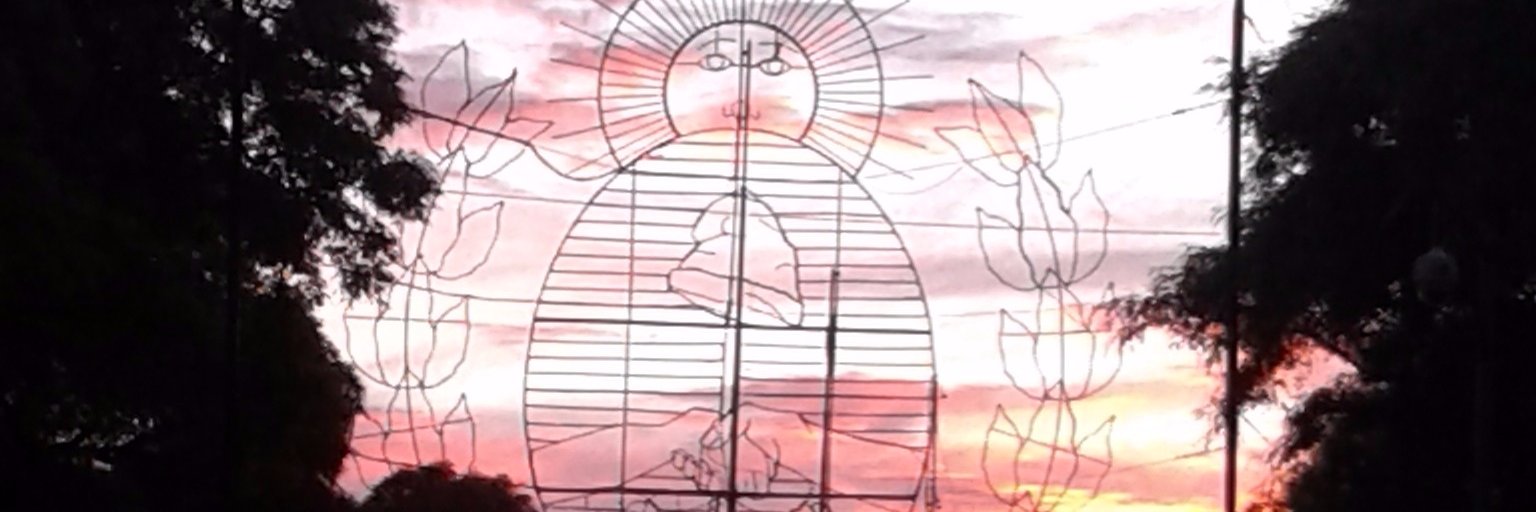 cecyanton's profile banner image