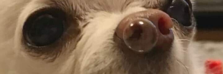 camiflor__'s profile banner image