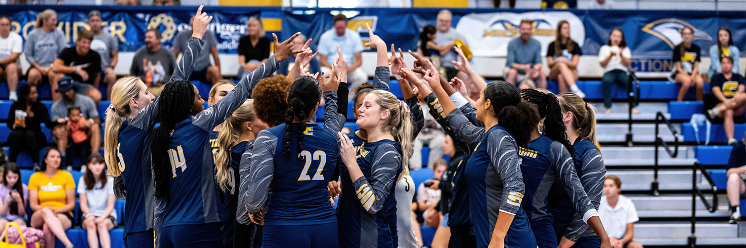 Chattanooga Volleyball banner