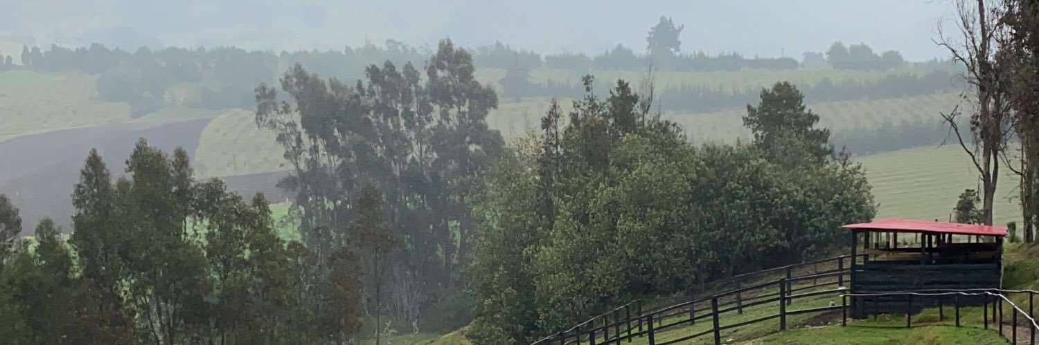 Chap83's profile banner image
