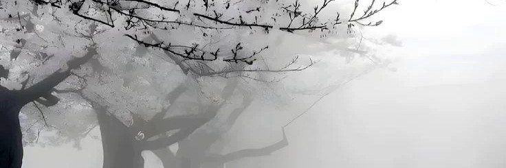 darielitowx's profile banner image