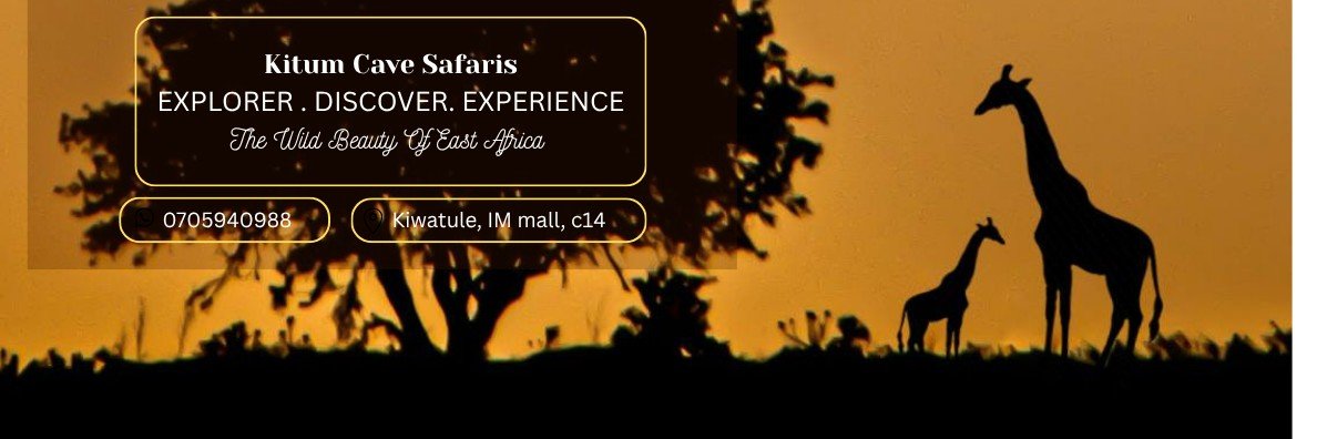 kitumcavesafari's profile banner image