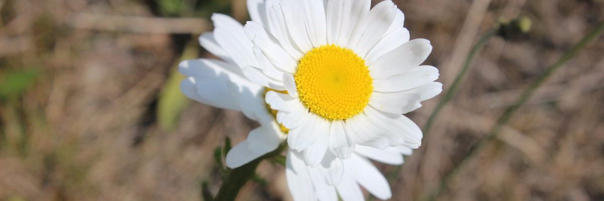 Christina4002's profile banner image
