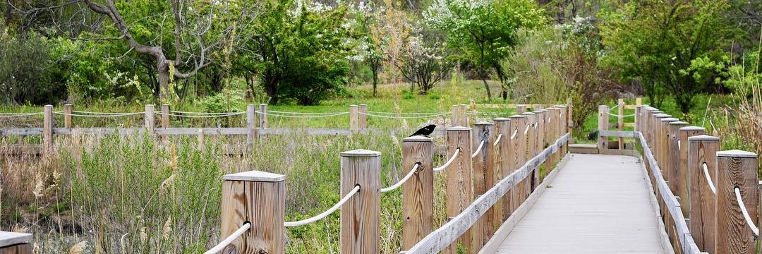 Alley Pond Env. Ctr. banner