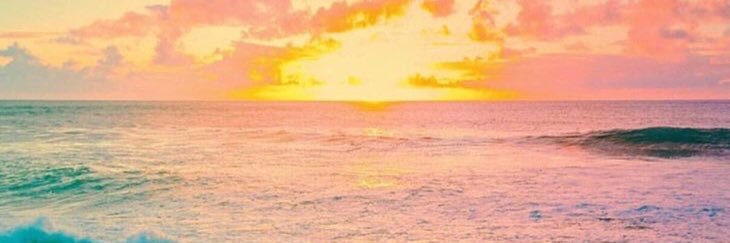 KaylaNeville's profile banner image