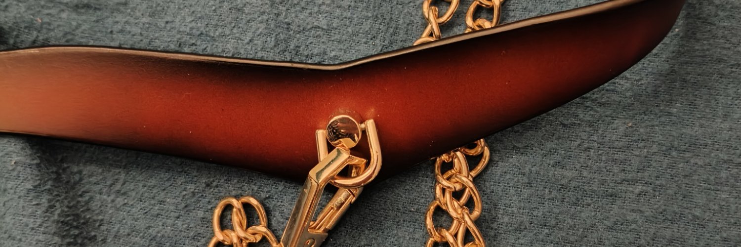 VestaObsession's profile banner image