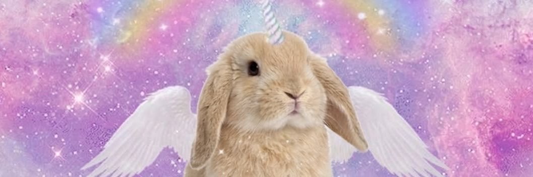nyxvuni's profile banner image