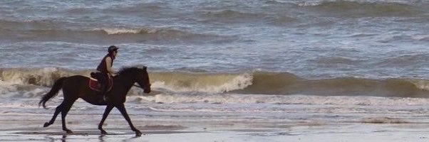 6ii_c's profile banner image