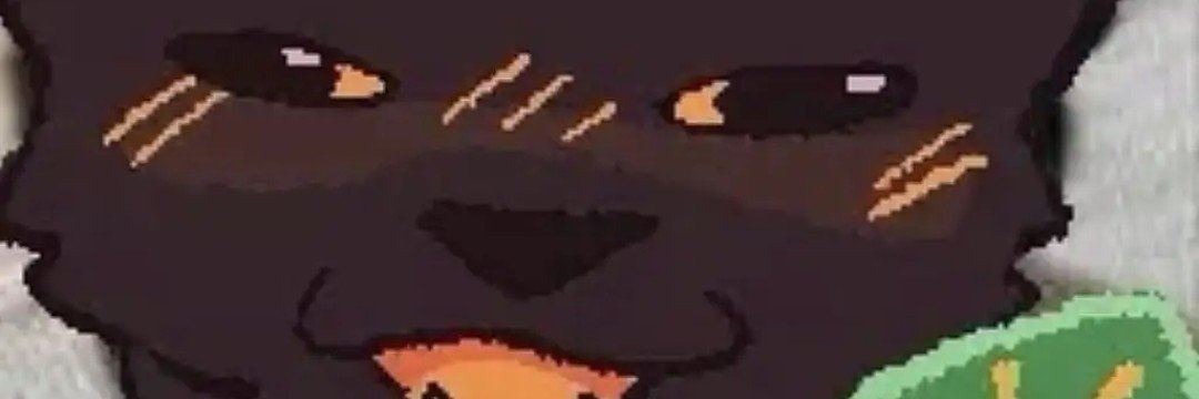 shellyfossle's profile banner image