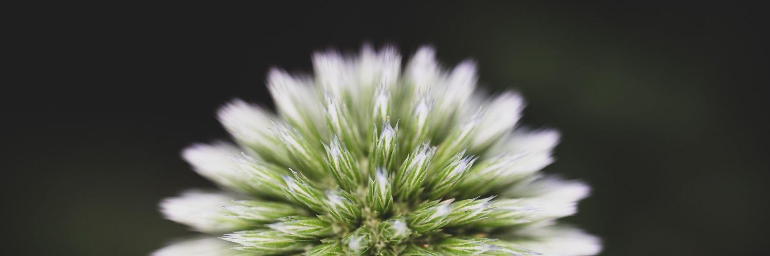 Ashley Hayman-Gill (she/her) banner