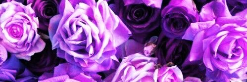 وفآء آلخثلان banner