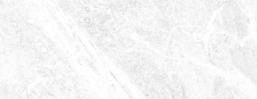 NO1fem_boy's profile banner image