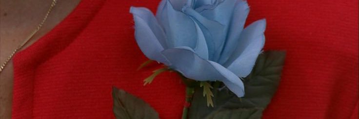 nicolasgalifi's profile banner image