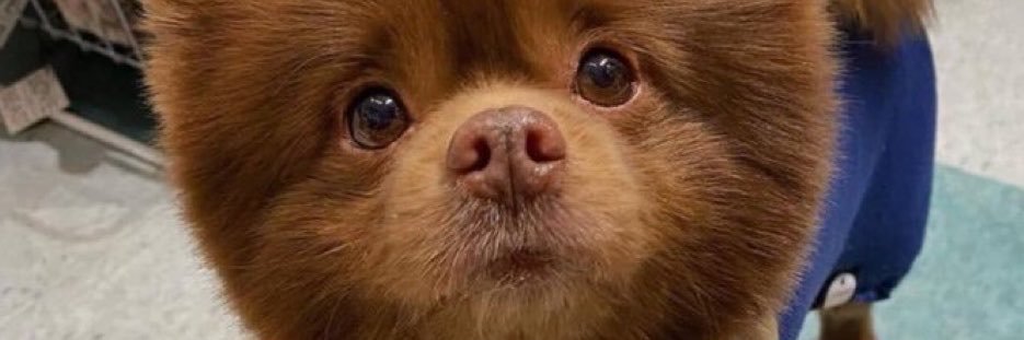 Bombatraderr's profile banner image