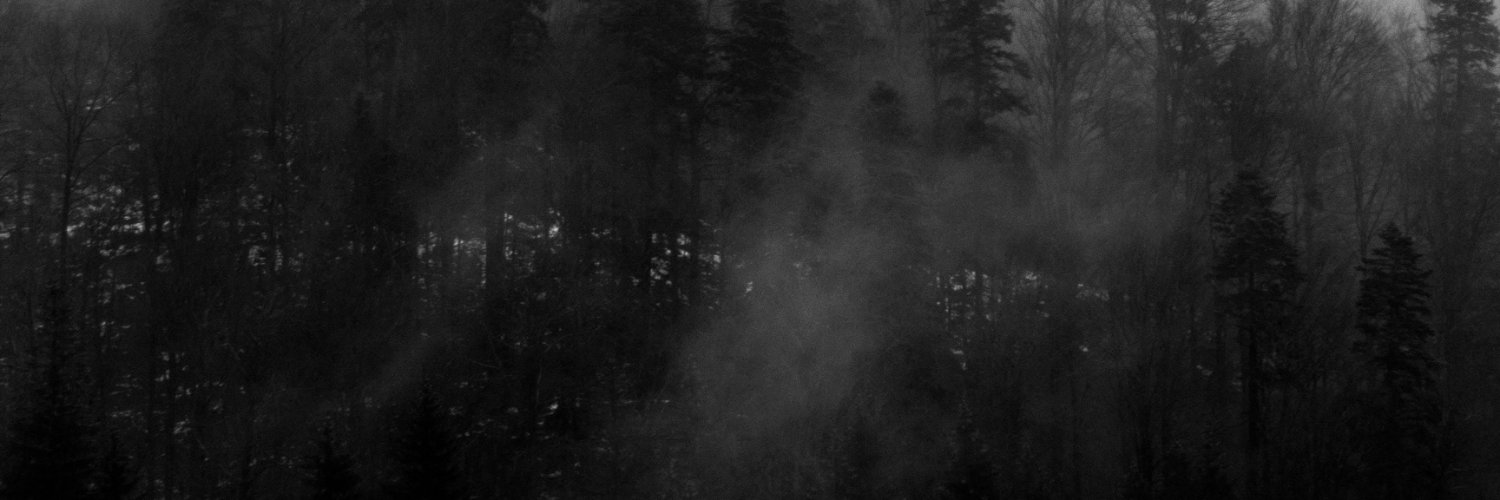 SmileyFaceHoods's profile banner image