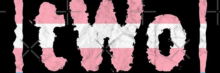 TransToilet69's profile banner image