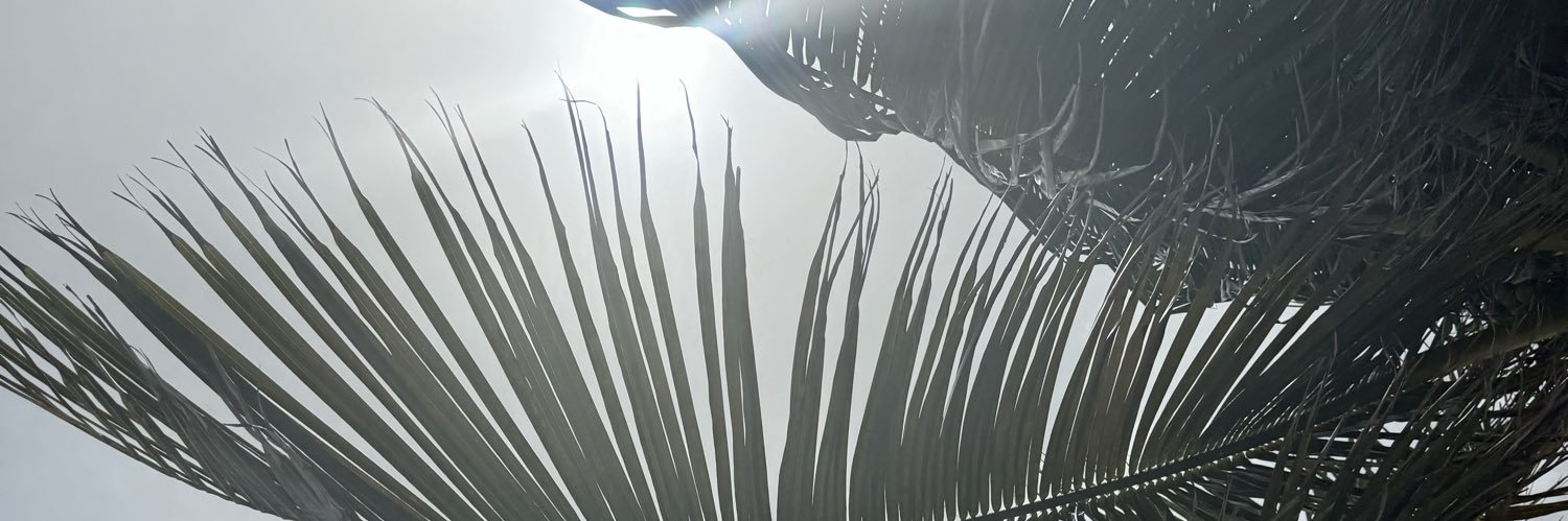 cusitsshey's profile banner image